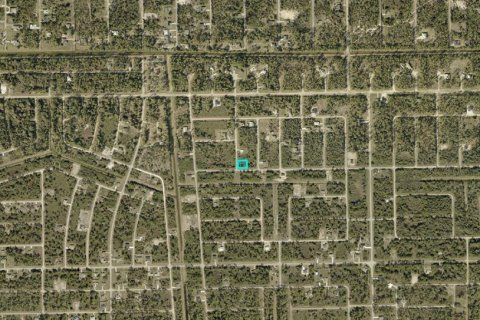 Land in Lehigh Acres, Florida № 2158969 - photo 3