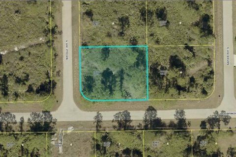 Land in Lehigh Acres, Florida № 2158969
