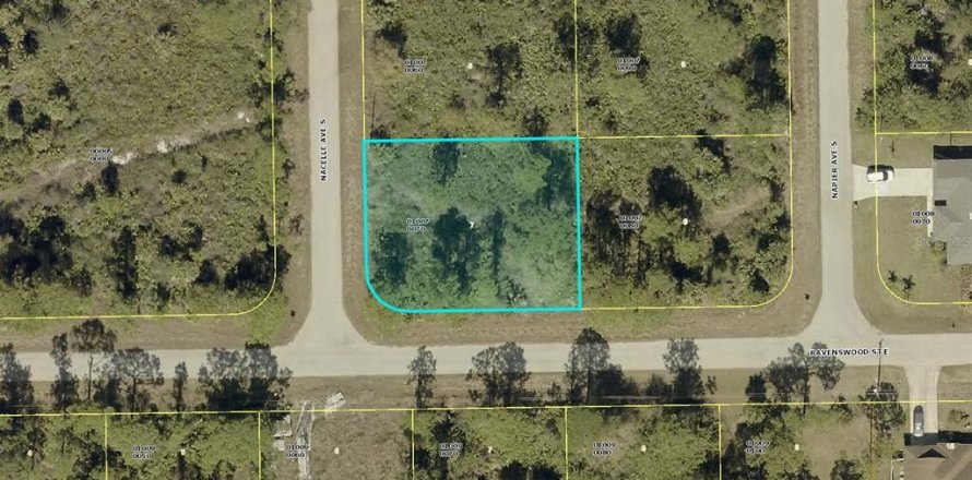 Land in Lehigh Acres, Florida № 2158969
