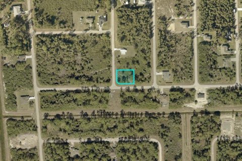 Land in Lehigh Acres, Florida № 2158969 - photo 2