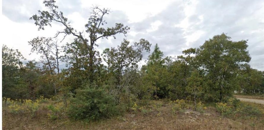 Terrain à Chipley, Floride № 2162683