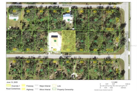 Land in Port Charlotte, Florida № 2158694 - photo 7
