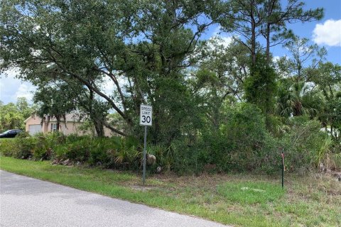 Land in Port Charlotte, Florida № 2158694 - photo 2