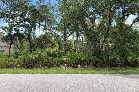 Land in Port Charlotte, Florida № 2158694