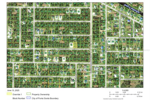 Land in Port Charlotte, Florida № 2158694 - photo 6
