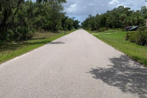 Land in Port Charlotte, Florida № 2158694 - photo 5