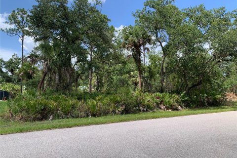 Land in Port Charlotte, Florida № 2158694 - photo 3