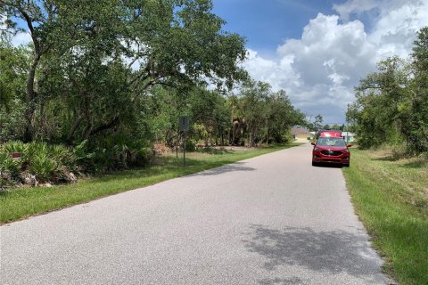 Land in Port Charlotte, Florida № 2158694 - photo 4