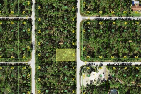 Land in Port Charlotte, Florida № 2235227 - photo 2
