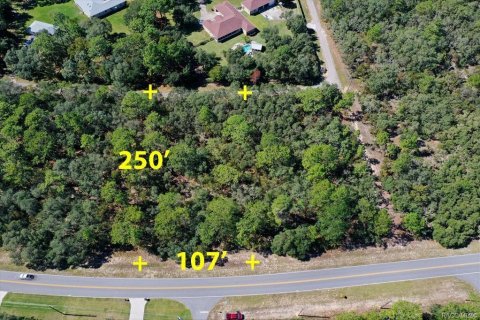 Land in Beverly Hills, Florida № 2158683 - photo 8