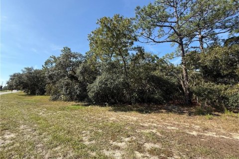 Land in Beverly Hills, Florida № 2158683 - photo 3