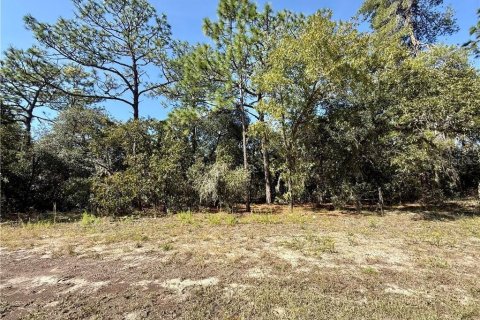 Land in Beverly Hills, Florida № 2158683 - photo 6