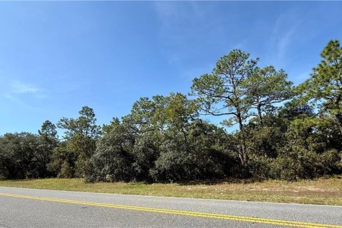 Land in Beverly Hills, Florida № 2158683 - photo 2
