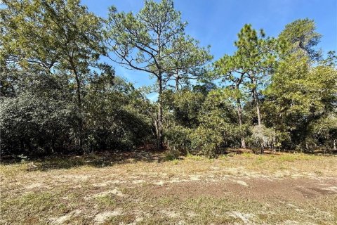 Land in Beverly Hills, Florida № 2158683 - photo 4
