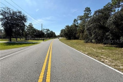 Land in Beverly Hills, Florida № 2158683 - photo 7