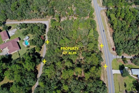 Land in Beverly Hills, Florida № 2158683 - photo 9