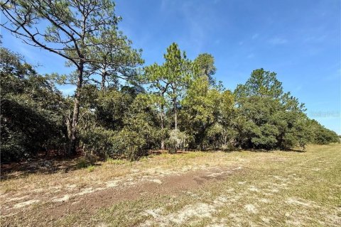 Land in Beverly Hills, Florida № 2158683 - photo 5
