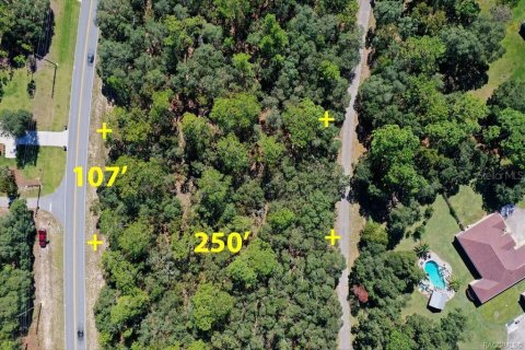 Land in Beverly Hills, Florida № 2158683 - photo 11