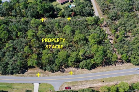 Land in Beverly Hills, Florida № 2158683