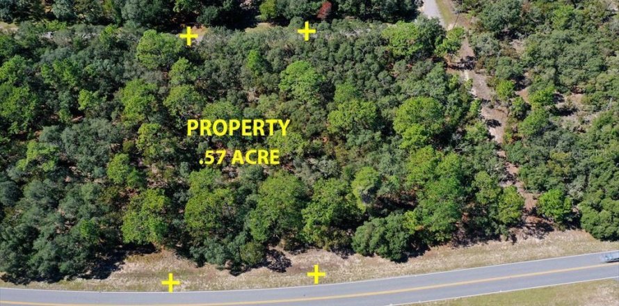 Land in Beverly Hills, Florida № 2158683