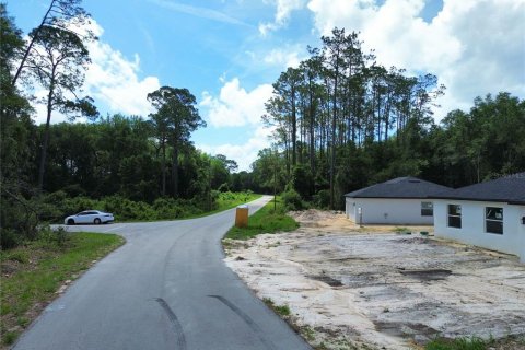 Land in Ocala, Florida № 2161739 - photo 2