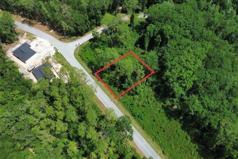 Land in Ocala, Florida № 2161739