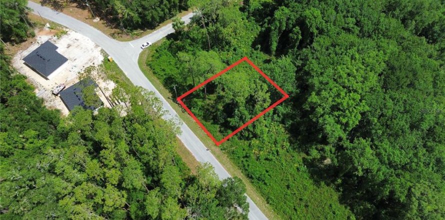 Land in Ocala, Florida № 2161739