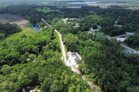 Land in Ocala, Florida № 2161739 - photo 3