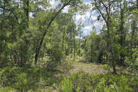 Terrain à vendre à Williston, Floride № 2237612 - photo 3