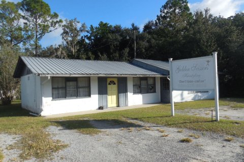 Commercial property in Palatka, Florida 124.4 sq.m. № 765443 - photo 1