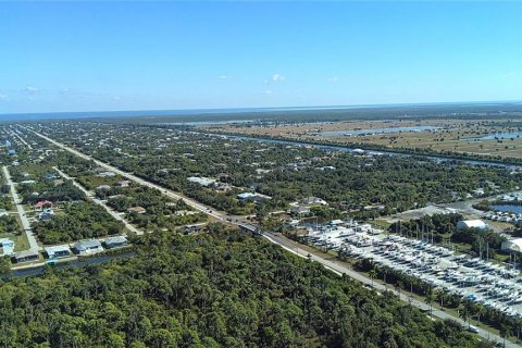 Land in Placida, Florida № 2162695 - photo 7