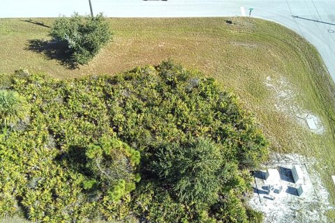 Land in Placida, Florida № 2162695 - photo 17