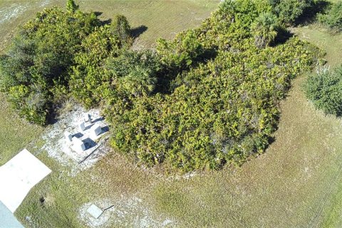 Land in Placida, Florida № 2162695 - photo 2