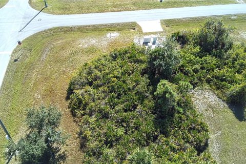 Land in Placida, Florida № 2162695 - photo 19
