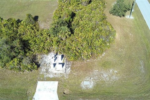 Land in Placida, Florida № 2162695 - photo 3