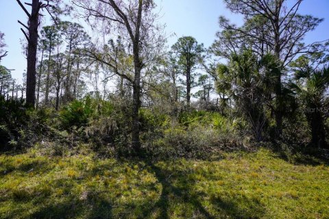 Land in Port Charlotte, Florida № 2158791 - photo 7