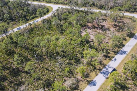 Land in Port Charlotte, Florida № 2158791 - photo 12