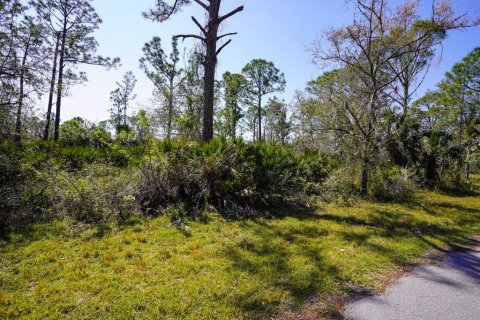 Land in Port Charlotte, Florida № 2158791 - photo 8