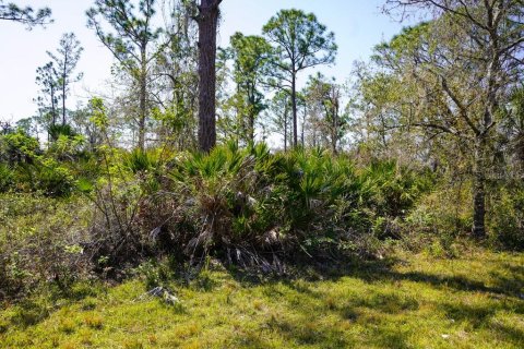 Land in Port Charlotte, Florida № 2158791 - photo 9