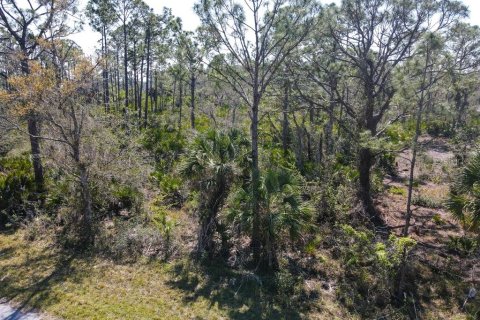 Land in Port Charlotte, Florida № 2158791 - photo 5