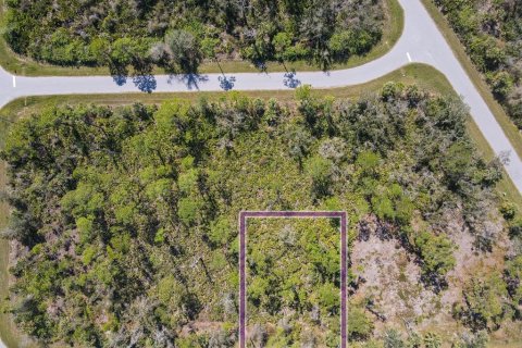 Land in Port Charlotte, Florida № 2158791 - photo 2