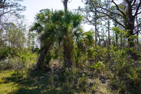 Land in Port Charlotte, Florida № 2158791 - photo 10