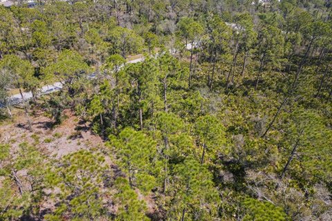 Land in Port Charlotte, Florida № 2158791 - photo 4