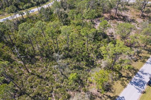 Land in Port Charlotte, Florida № 2158791 - photo 13