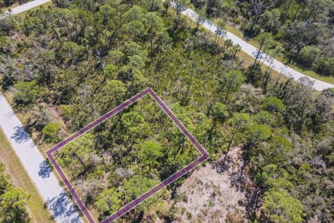 Land in Port Charlotte, Florida № 2158791