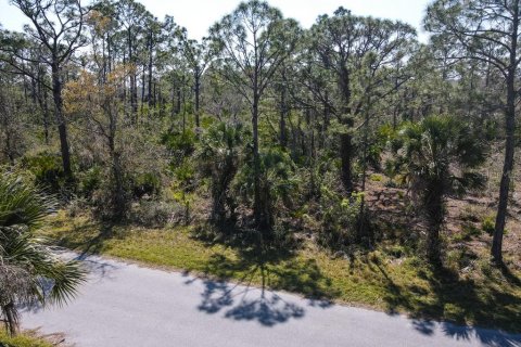 Land in Port Charlotte, Florida № 2158791 - photo 6