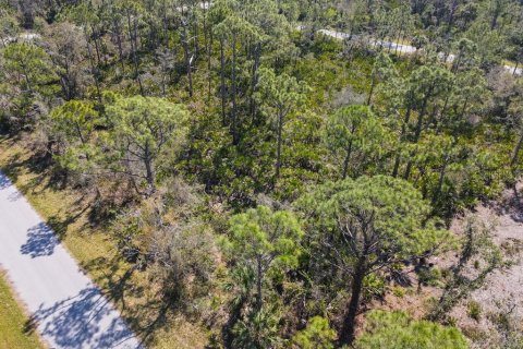 Land in Port Charlotte, Florida № 2158791 - photo 3
