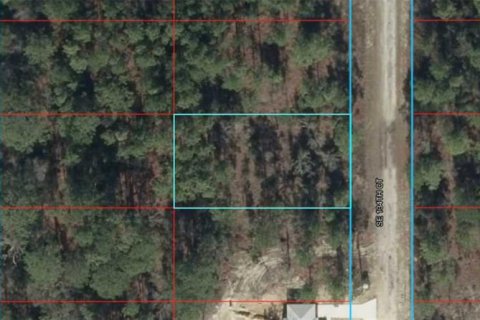Land in Dunnellon, Florida № 2369403
