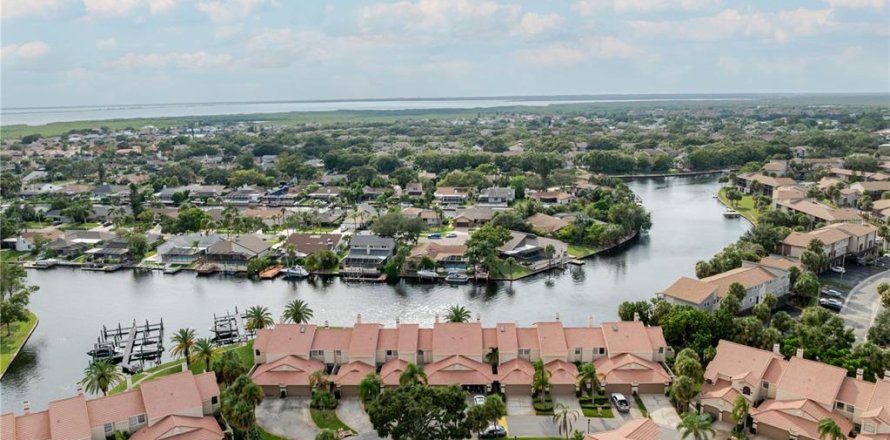 Townhouse in Tampa, Florida 3 bedrooms, 165.18 sq.m. № 1912165