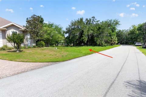 Land in Homosassa, Florida № 2213473 - photo 14